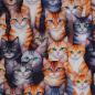 Preview: Baumwollstoff Motivdruck digital Katzen allover